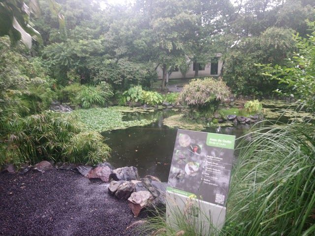 Quito Botanical Gardens